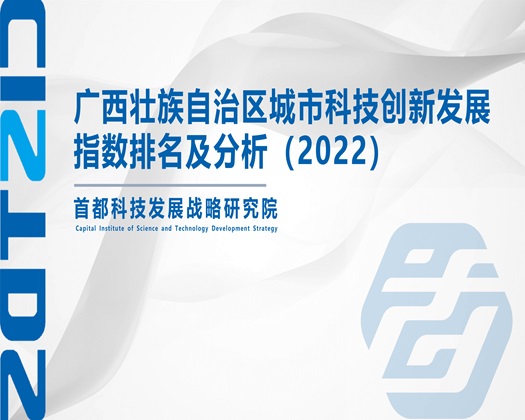 老逼黄色大片【成果发布】广西壮族自治区城市科技创新发展指数排名及分析（2022）